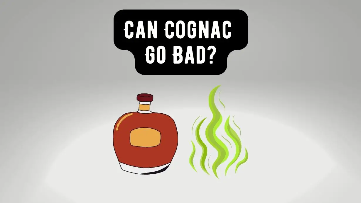 Can Cognac Go Bad Exploring the Shelf Life and Storage of Cognac