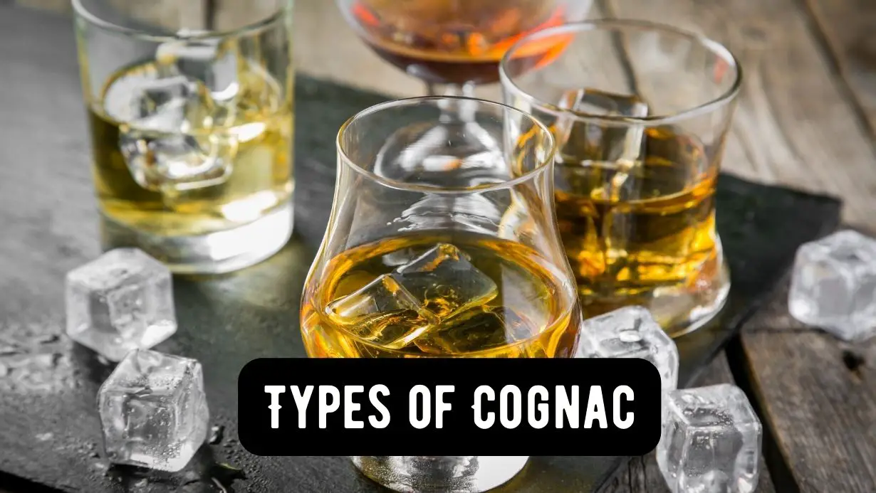20+ Types of Cognac
