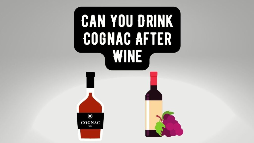 What To Mix With Cognac? Top 10 Mixers and Recipes – Cognac Wiki